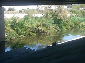 Pedicab up and down the bike path on the Los Angeles River